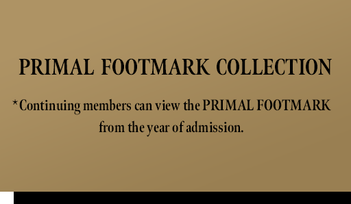 PRIMAL FOOTMARK COLLECTION